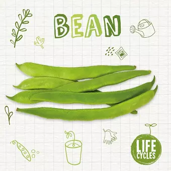 Bean cover