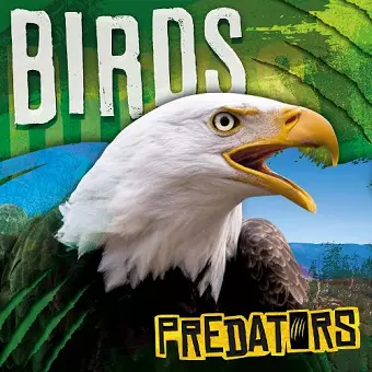 Birds cover