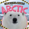 In the Arctic cover