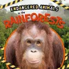 In the Rainforests cover