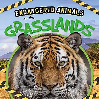 On the Grasslands cover