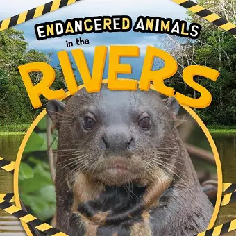 In the Rivers cover