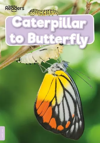 Caterpillar to Butterfly cover