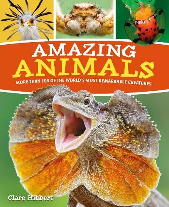 Amazing Animals cover