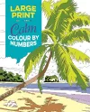 Large Print Calm Colour by Numbers cover