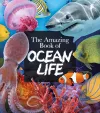 The Amazing Book of Ocean Life cover
