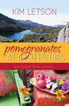 Pomegranates at 4800 Metres cover