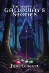 The Secret Of Galloway's Stones cover