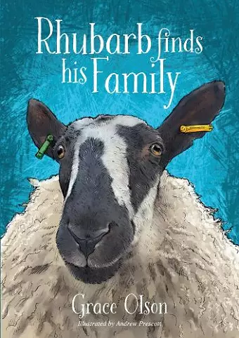 Rhubarb Finds His Family cover