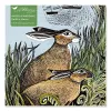 Adult Jigsaw Puzzle Angela Harding: Rathlin Hares (500 pieces) cover
