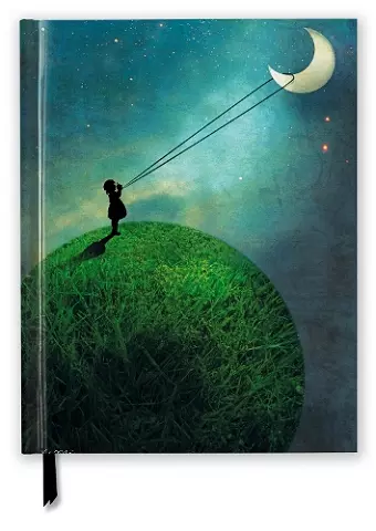 Catrin Welz-Stein: Chasing the Moon (Blank Sketch Book) cover