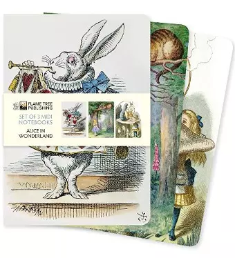 Alice in Wonderland Set of 3 Midi Notebooks cover