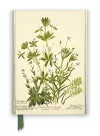 RBGE: Charlotte Cowan Pearson: Stitchworts, Woodruff and Pepperwort (Foiled Journal) cover