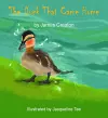 The Duck That Came Home cover