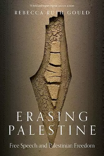 Erasing Palestine cover