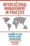 Intercultural Management in Practice cover
