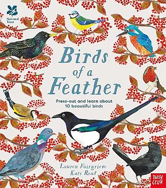 National Trust: Birds of a Feather: Press out and learn about 10 beautiful birds cover