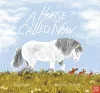 A Horse Called Now cover