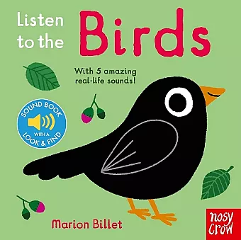 Listen to the Birds cover