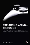 Exploring Animal Crossing cover