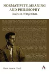 Normativity, Meaning and Philosophy: Essays on Wittgenstein cover
