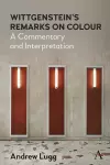 Wittgenstein’s Remarks on Colour cover