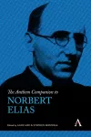 The Anthem Companion to Norbert Elias cover