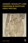 Gender, Sexuality and Feminism in Pakistani Urdu Writing cover