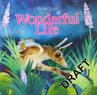 Wonderful Life cover