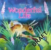 Wonderful Life cover