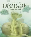Little Lost Dragon cover