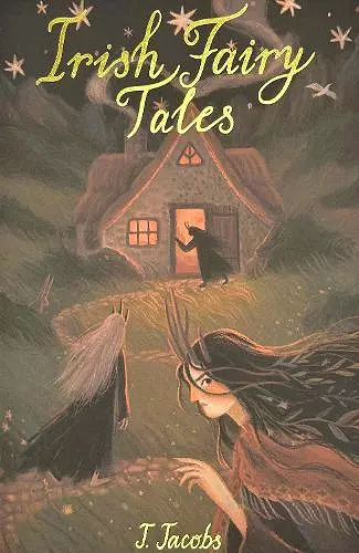 Irish Fairy Tales cover