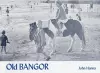 Old Bangor cover