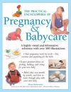 The Practical Encyclopedia of Pregnancy & Babycare cover