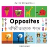 My First Bilingual Book -  Opposites (English-Bengali) cover