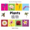 My First Bilingual Book -  Plants (English-Chinese) cover