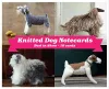 Best in Show Knitted Dog Boxed Notecards cover