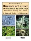 A Colour Atlas of Diseases of Lettuce and Related Salad Crops cover