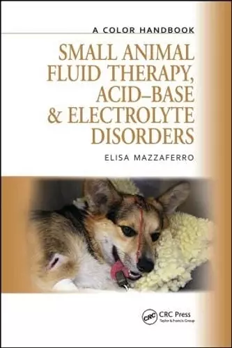 Small Animal Fluid Therapy, Acid-base and Electrolyte Disorders cover