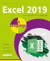 Excel 2019 in easy steps cover