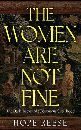 The Women Are Not Fine cover