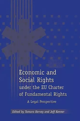 Economic and Social Rights under the EU Charter of Fundamental Rights cover
