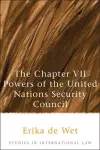 The Chapter VII Powers of the United Nations Security Council cover