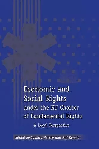 Economic and Social Rights under the EU Charter of Fundamental Rights cover