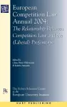 European Competition Law Annual 2004 cover