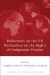 Reflections on the UN Declaration on the Rights of Indigenous Peoples cover