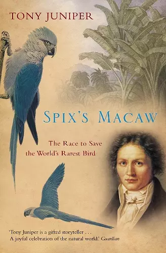Spix’s Macaw cover