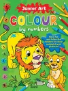 Junior Art Colour By Numbers: Lion cover