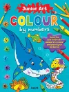 Junior Art Colour By Numbers: Shark cover
