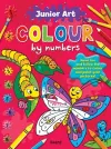 Junior Art Colour By Numbers: Butterfly cover